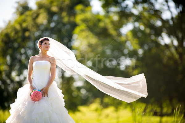 Przepiękny oblubienicy ślub dzień kolor obraz Zdjęcia stock © lightpoet