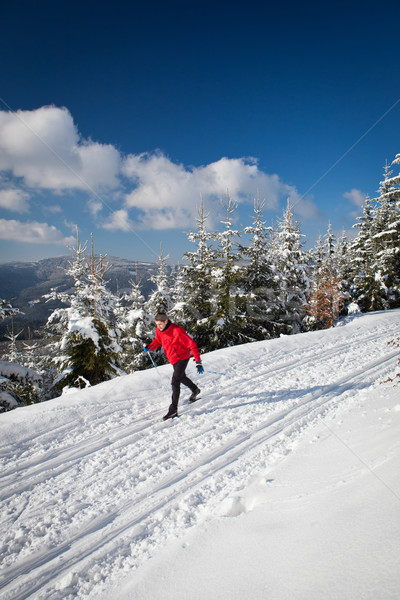 Cross-country skiing: young man cross-country skiing Stock photo © lightpoet
