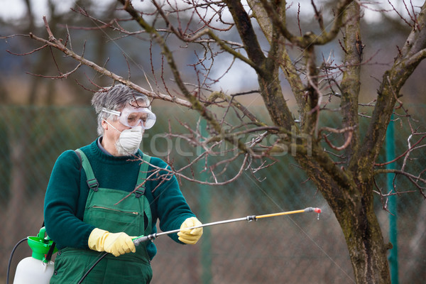 Using chemicals in the garden/orchard Stock photo © lightpoet