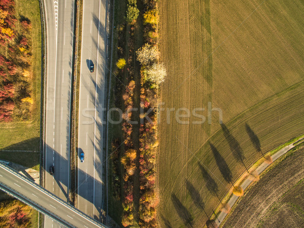 Widok z lotu ptaka autostrady pola samochody drzewo drogowego Zdjęcia stock © lightpoet