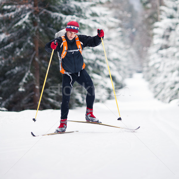 Cross-country skiing: young man cross-country skiing  Stock photo © lightpoet