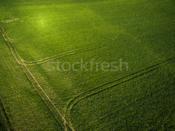 Farmland from above - aerial image of a lush green filed Stock photo © lightpoet