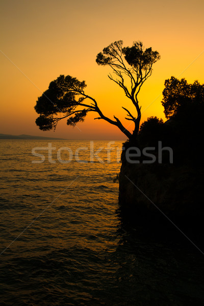 Brela Rock silhouette - Splendid seacoast of Croatia Stock photo © lightpoet