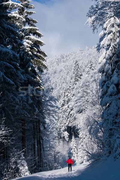 Stock photo: Cross-country skiing: young man cross-country skiing