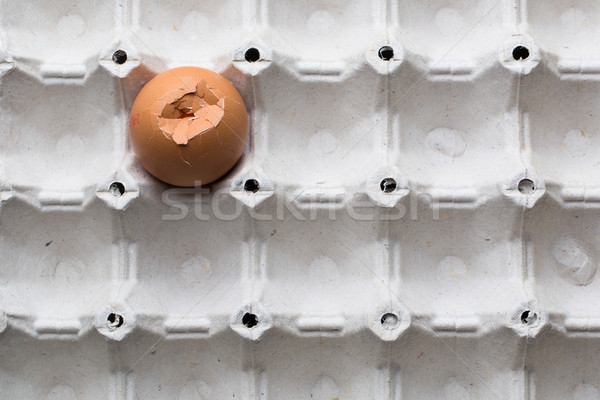 Eggs on white background Stock photo © lightpoet