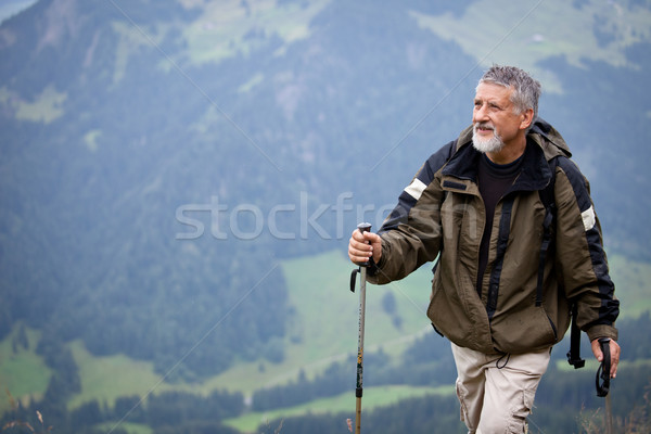 Active senior hiking in high mountains (Swiss Alps)  Stock photo © lightpoet