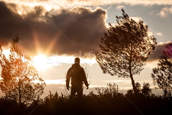 Adventurous man observing a lovely sunset in nature, alone, stan Stock photo © lightpoet