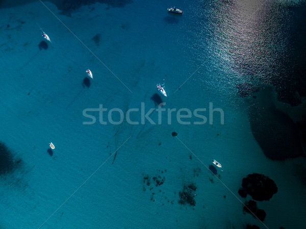 Aerial view of boats in a splendid cove in Corsica Stock photo © lightpoet