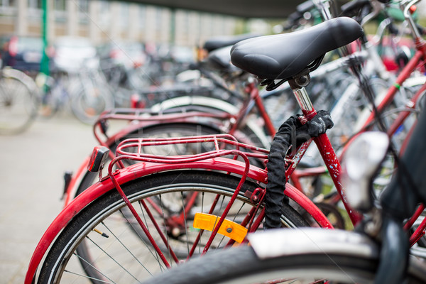 Fahrrad Mietbetrag Service viele Fahrräder stehen Stock foto © lightpoet