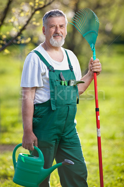 portrait of a senior man gardening in his garden Stock photo © lightpoet