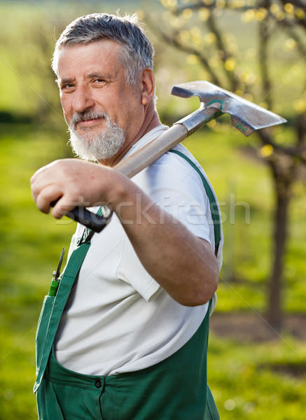 portrait of a senior man gardening in his garden  Stock photo © lightpoet