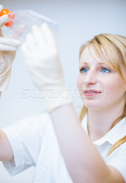 Stockfoto: Portret · vrouwelijke · onderzoeker · onderzoek · lab · kleur