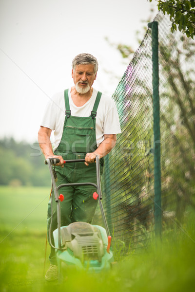 Senior Mann Gartenarbeit Garten Farbe Hände Stock foto © lightpoet