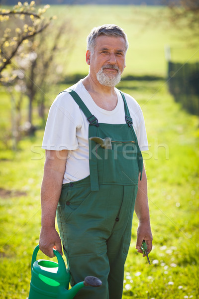 Portrait supérieurs jardinier couleur fleur mains [[stock_photo]] © lightpoet