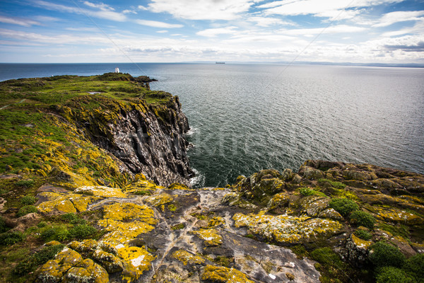 Isle of May, Scotland Stock photo © lightpoet