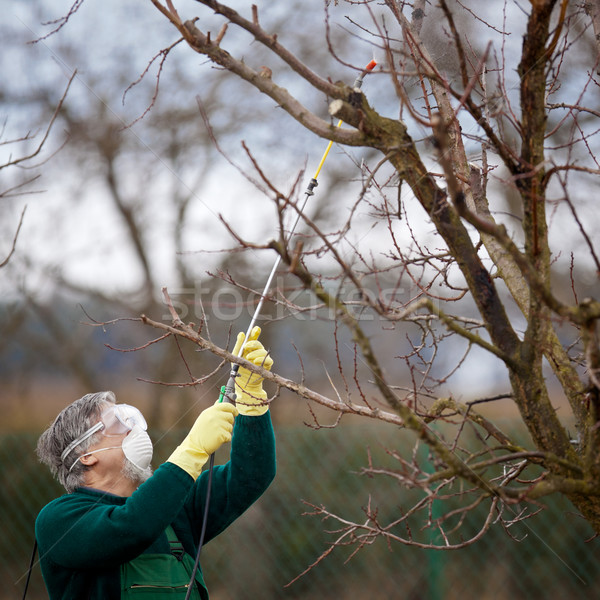 Using chemicals in the garden/orchard Stock photo © lightpoet