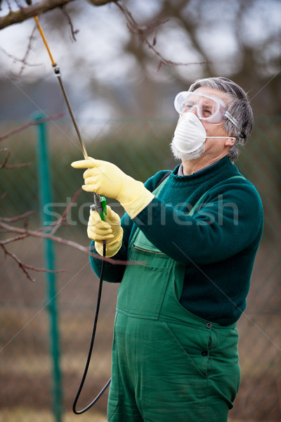 Using chemicals in the garden/orchard Stock photo © lightpoet