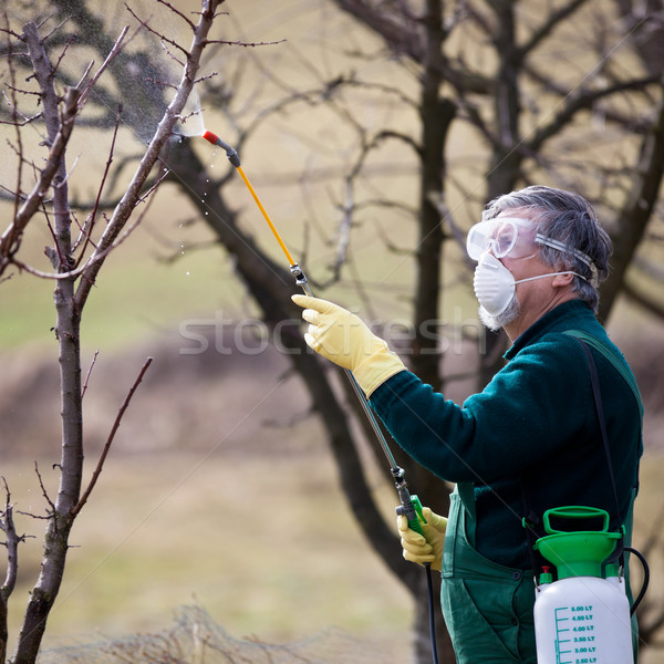 Using chemicals in the garden/orchard Stock photo © lightpoet