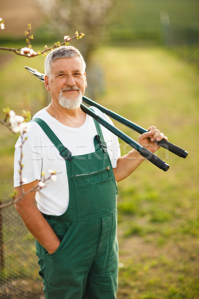 Foto stock: Retrato · guapo · altos · hombre · jardinería · jardín