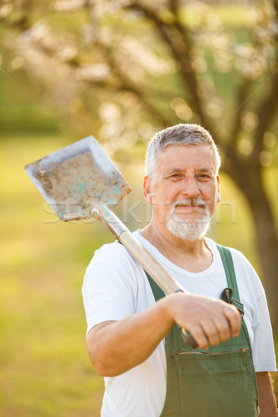 Porträt gut aussehend Senior Mann Gartenarbeit Garten Stock foto © lightpoet