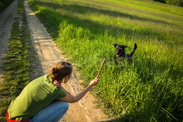 Lopen hond stick metgezel Stockfoto © lightpoet