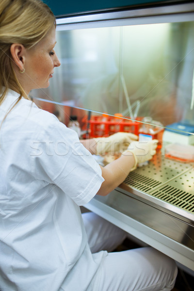 Foto stock: Retrato · femenino · investigador · investigación · laboratorio · color