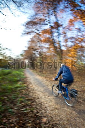 Bicycle riding in a city park on a lovely autumn/fall day Stock photo © lightpoet