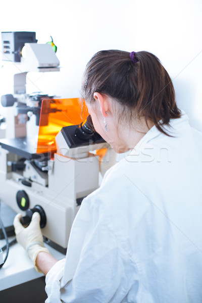 Stockfoto: Portret · vrouwelijke · onderzoeker · onderzoek · lab · microscoop