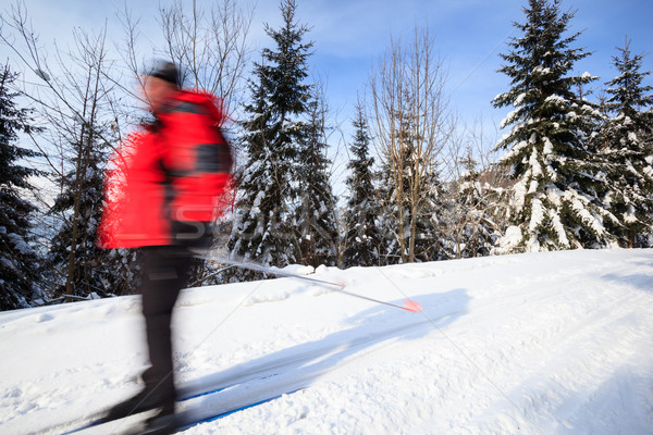 Cross-country skiing: young man cross-country skiing  Stock photo © lightpoet