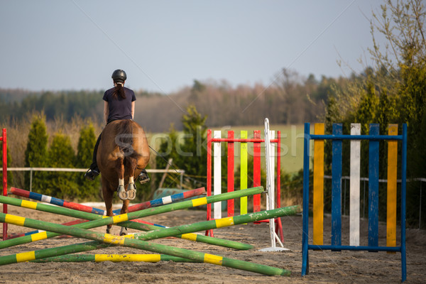 Fiatal nő előadás ugrik ló sport tájkép Stock fotó © lightpoet