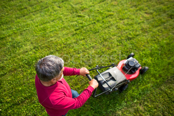 Senior man mowing his garden - shot from above - interesting ang Stock photo © lightpoet