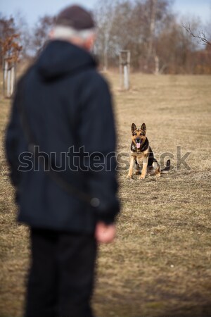 Maestro obediente pastor perro hombre salud Foto stock © lightpoet