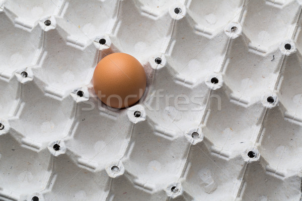 Eggs on white background Stock photo © lightpoet