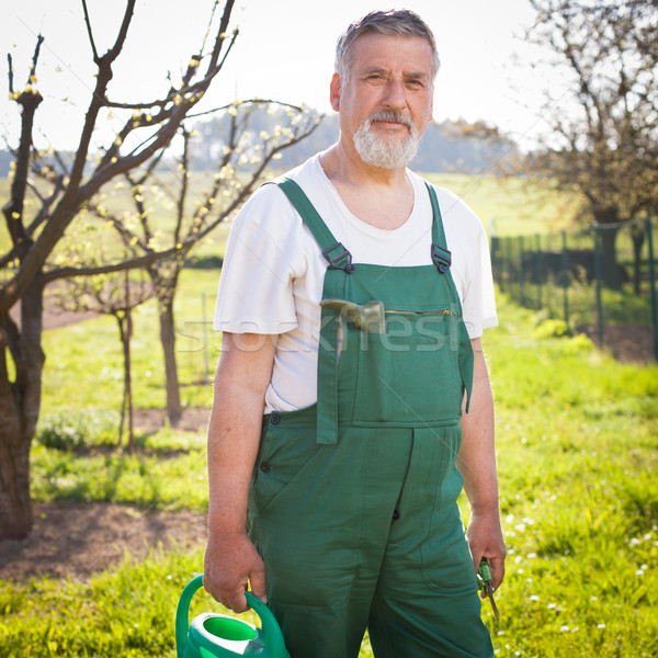 портрет старший садовник цвета цветок рук Сток-фото © lightpoet