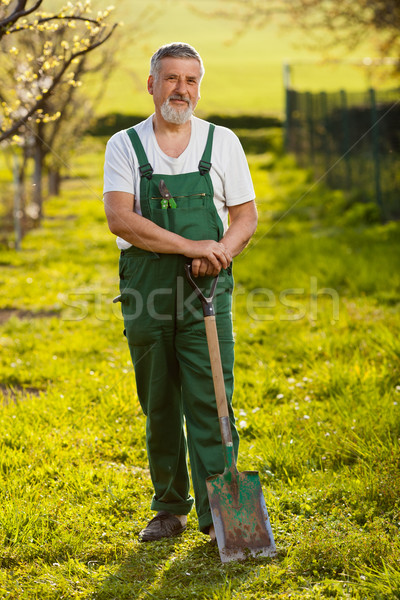 portrait of a senior man gardening in his garden  Stock photo © lightpoet
