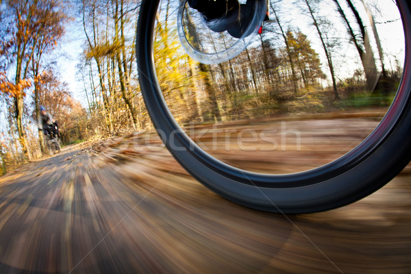 Fahrrad Reiten Stadt Park Tag Bewegungsunschärfe Stock foto © lightpoet