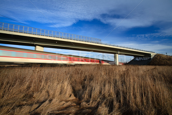 Stock foto: Schnell · Zug · Brücke · Sommer · Tag · Bewegung