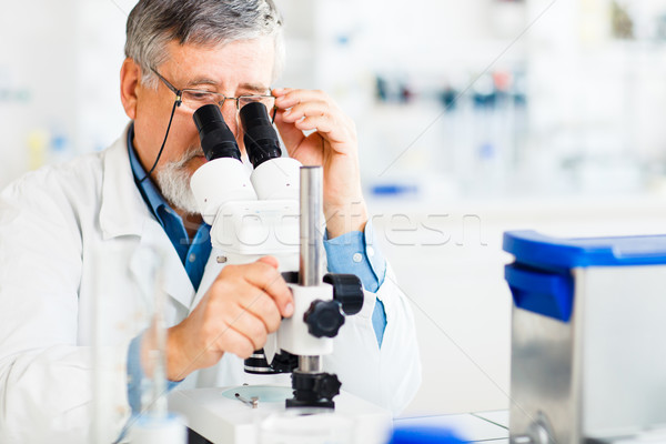 senior male researcher carrying out scientific research in a lab Stock photo © lightpoet