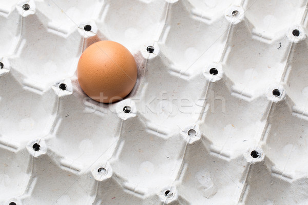 Eggs on white background Stock photo © lightpoet