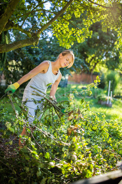 Pretty, young woman gardening in her garden, cutting branches Stock photo © lightpoet