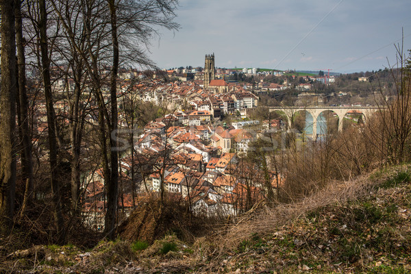 Fribourg, Switzerland Stock photo © lightpoet
