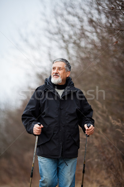 Senior man nordic walking Stock photo © lightpoet