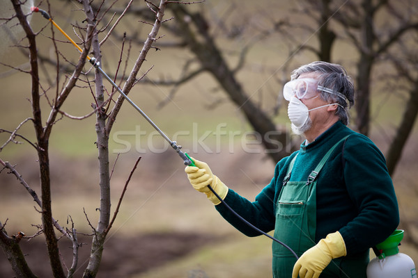 Stock photo: Using chemicals in the garden/orchard