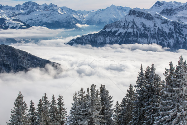 Splendid winter alpine scenery with high mountains  Stock photo © lightpoet
