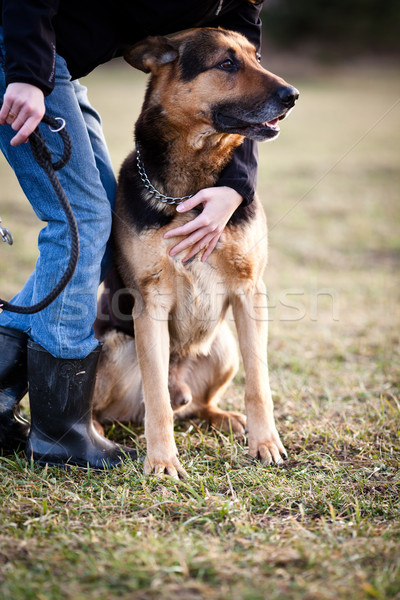 Meester gehoorzaam hond herder man gezondheid Stockfoto © lightpoet