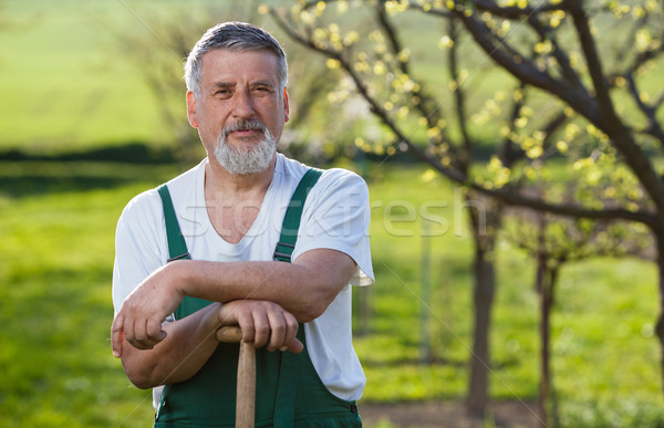 portrait of a senior man gardening in his garden  Stock photo © lightpoet