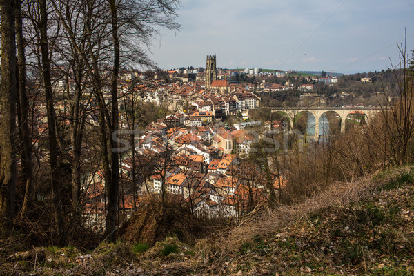 Fribourg, Switzerland Stock photo © lightpoet