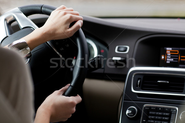 woman driving a car Stock photo © lightpoet