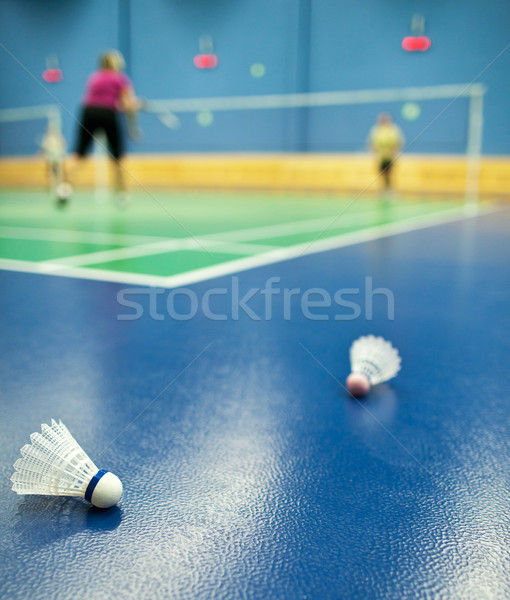 Zdjęcia stock: Badminton · gracze · pierwszy · plan · płytki