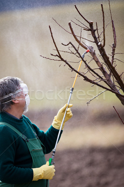 Vegyszerek kertész jelentkezik műtrágya gyümölcs tavasz Stock fotó © lightpoet